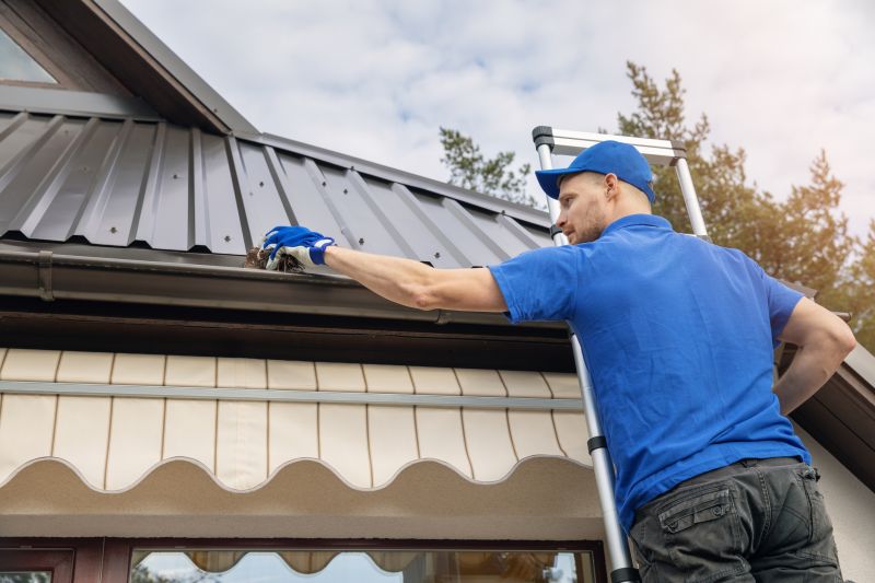 Local Gutter Maintenance Experts